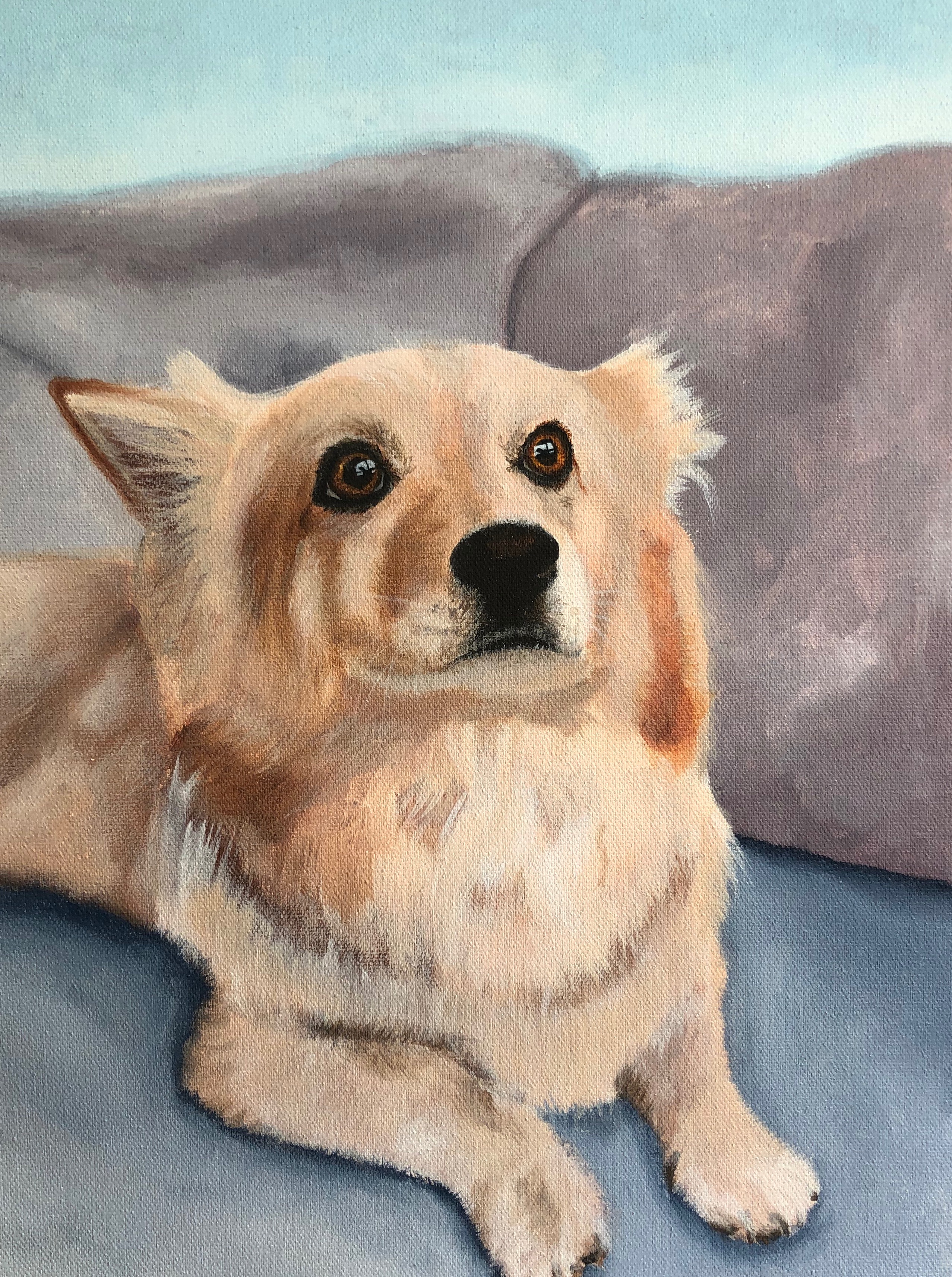 Corgi