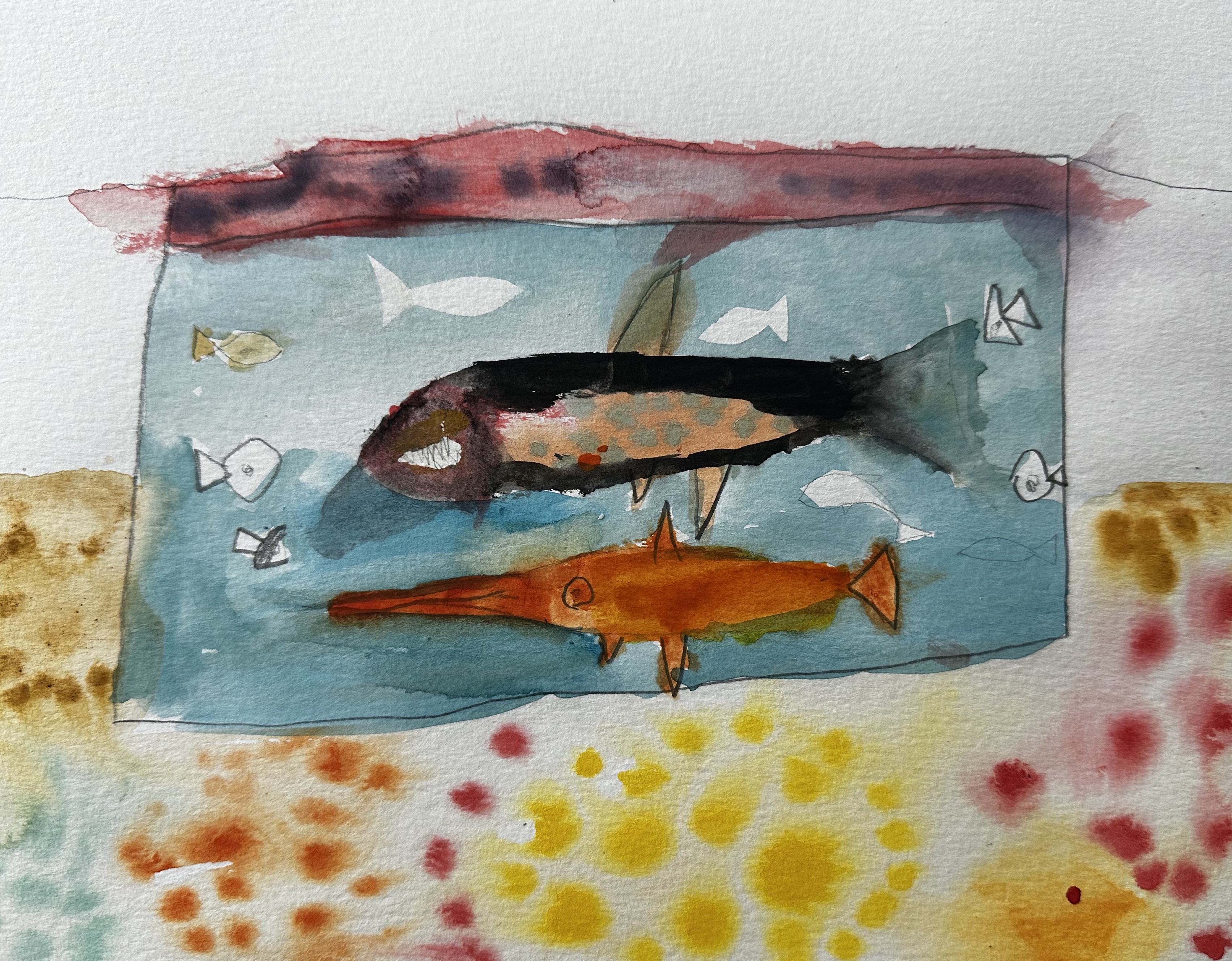 Fish Aquarium